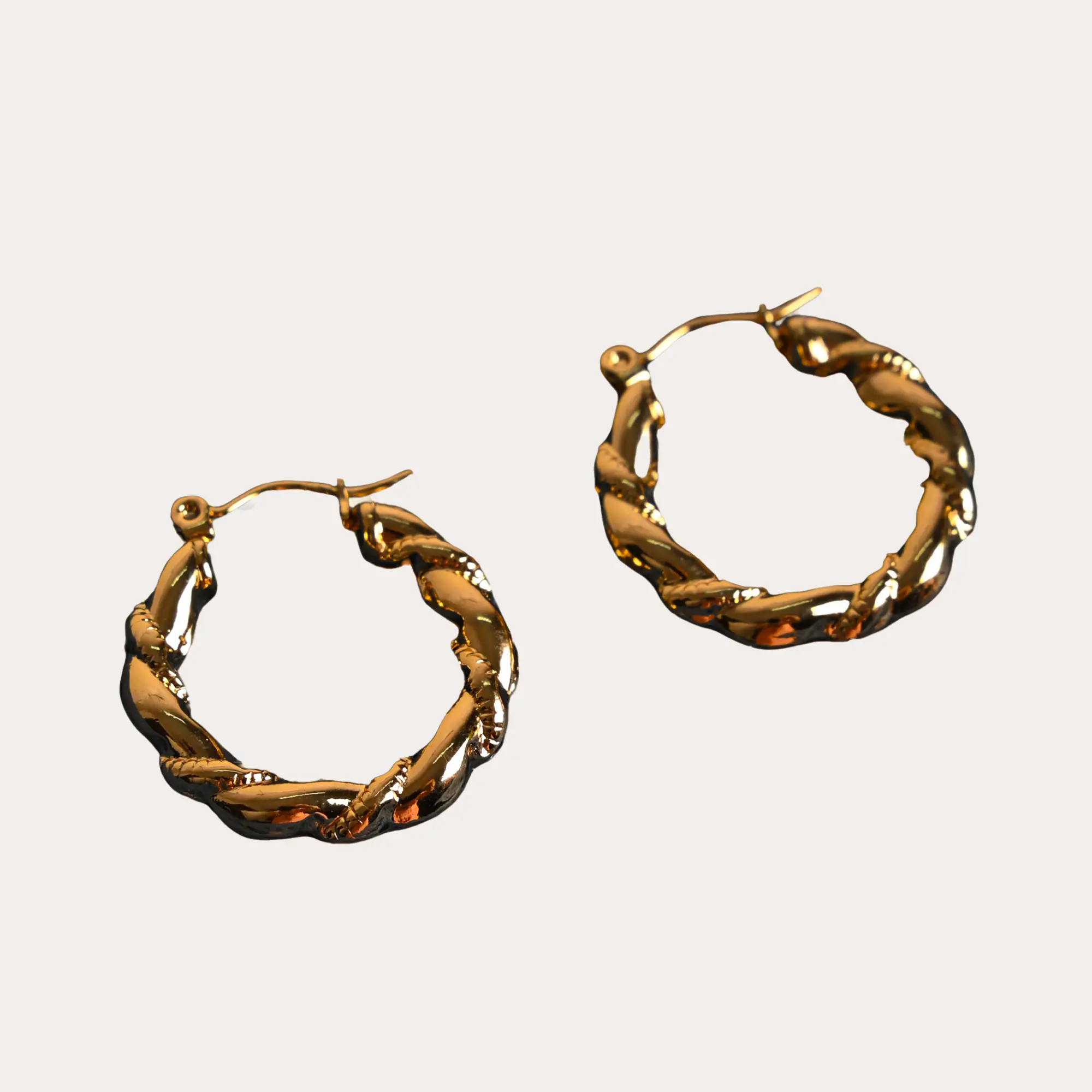 Twisted Round Hoop Earrings